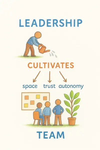 A leader creates the space for a team to grow, with trust, autonomy, and collaboration